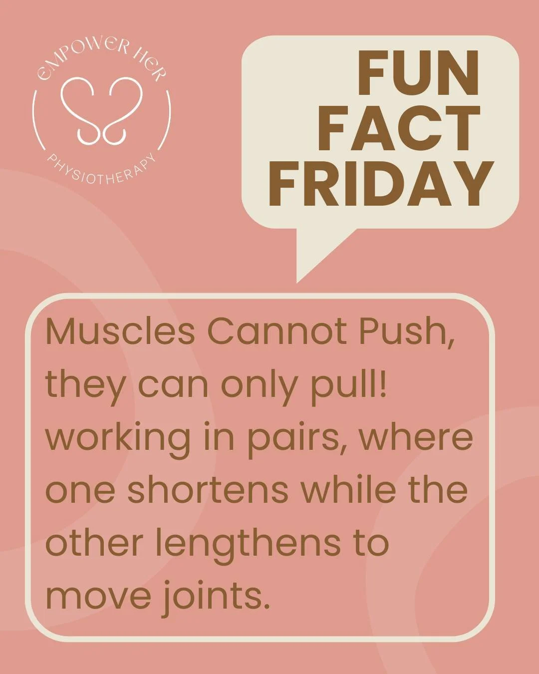✨ Fun Fact Friday ✨
Did you know muscles can&rsquo;t push, only pull!? 🏋️&zwj;♀️
Every movement you make happens because muscles work in pairs:
👉 one muscle shortens (contracts)
👉 while the other lengthens (relaxes)
This teamwork is what allows yo