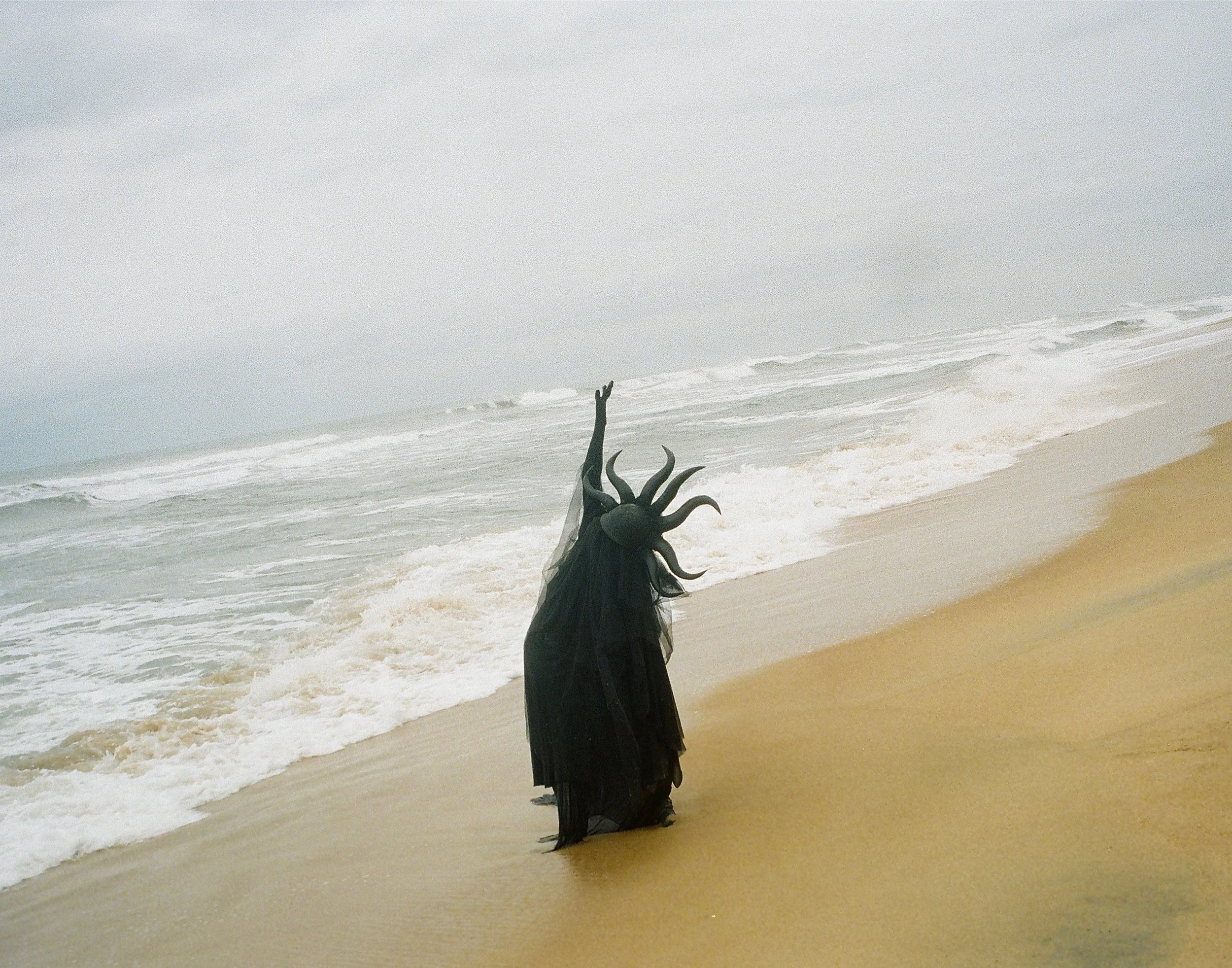 Photo by Mercilee Dixon