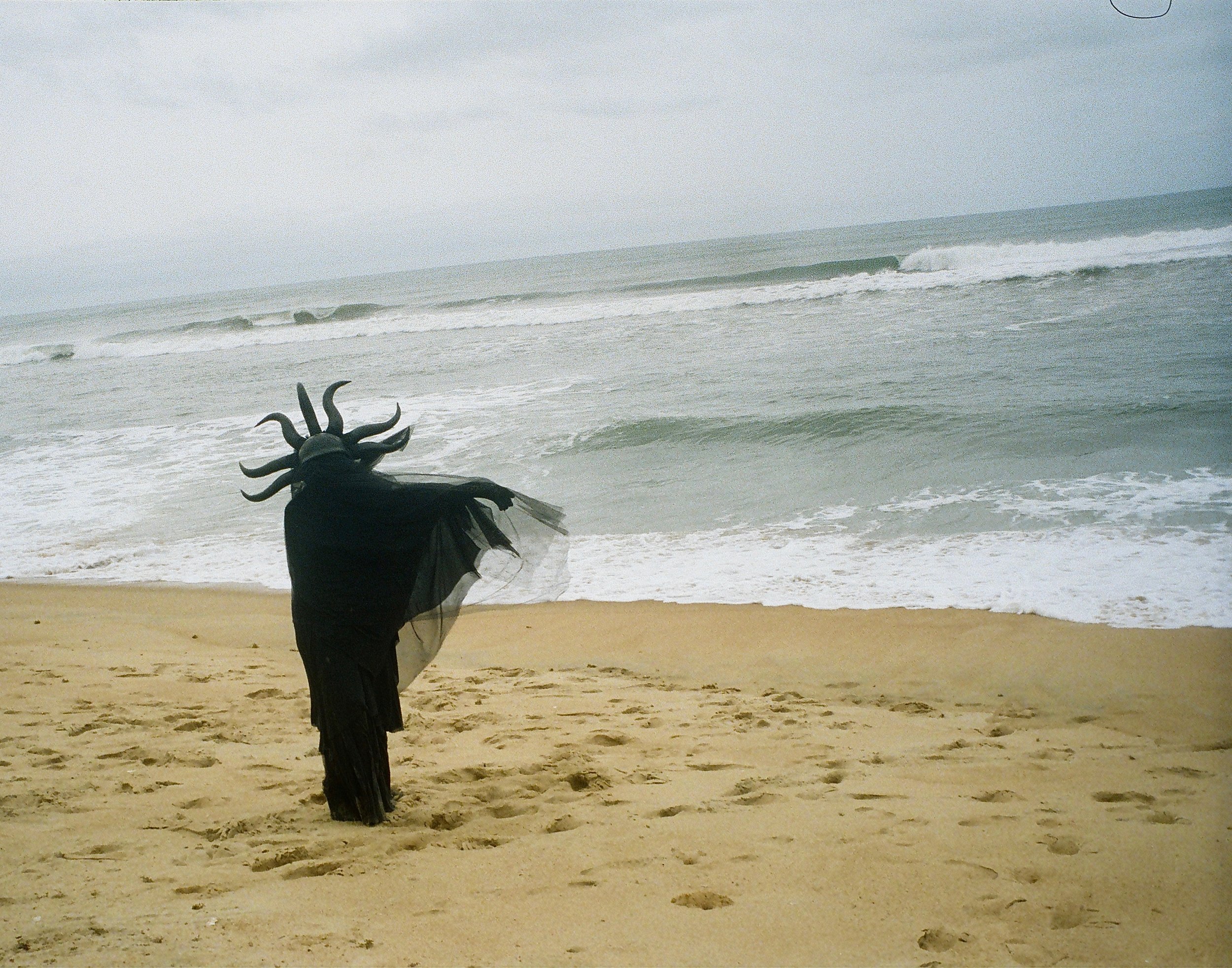 Photo by Mercilee Dixon