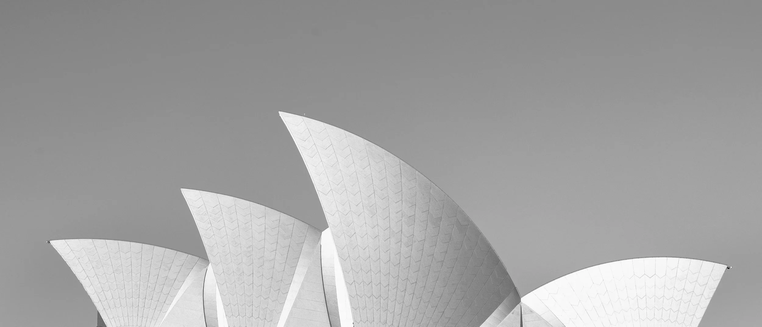 The+White+Opera+++Sharpening++(+1++of++12+).webp