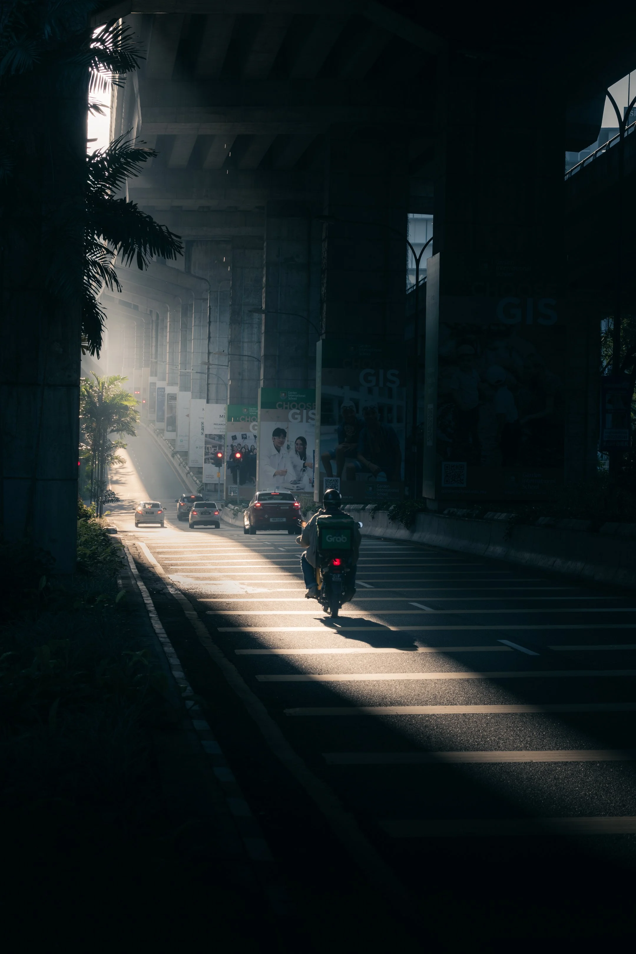 Morning light 2.jpg