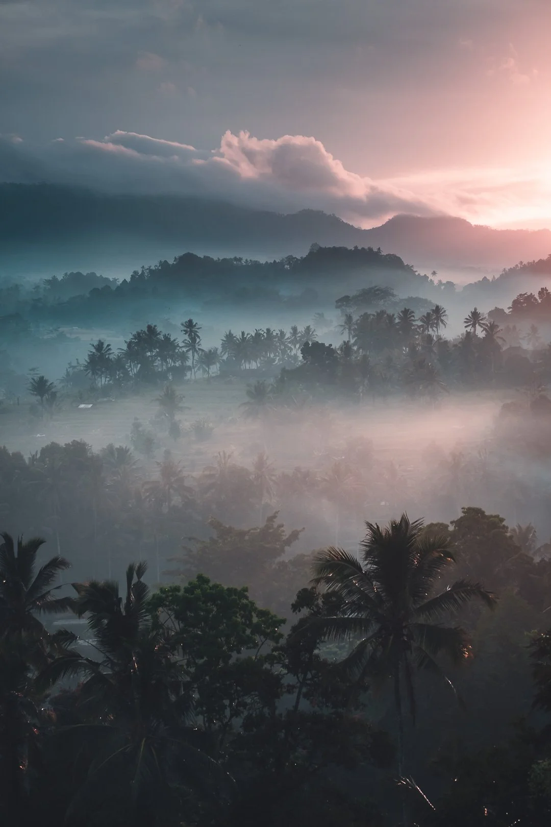 mist morning 7.jpg