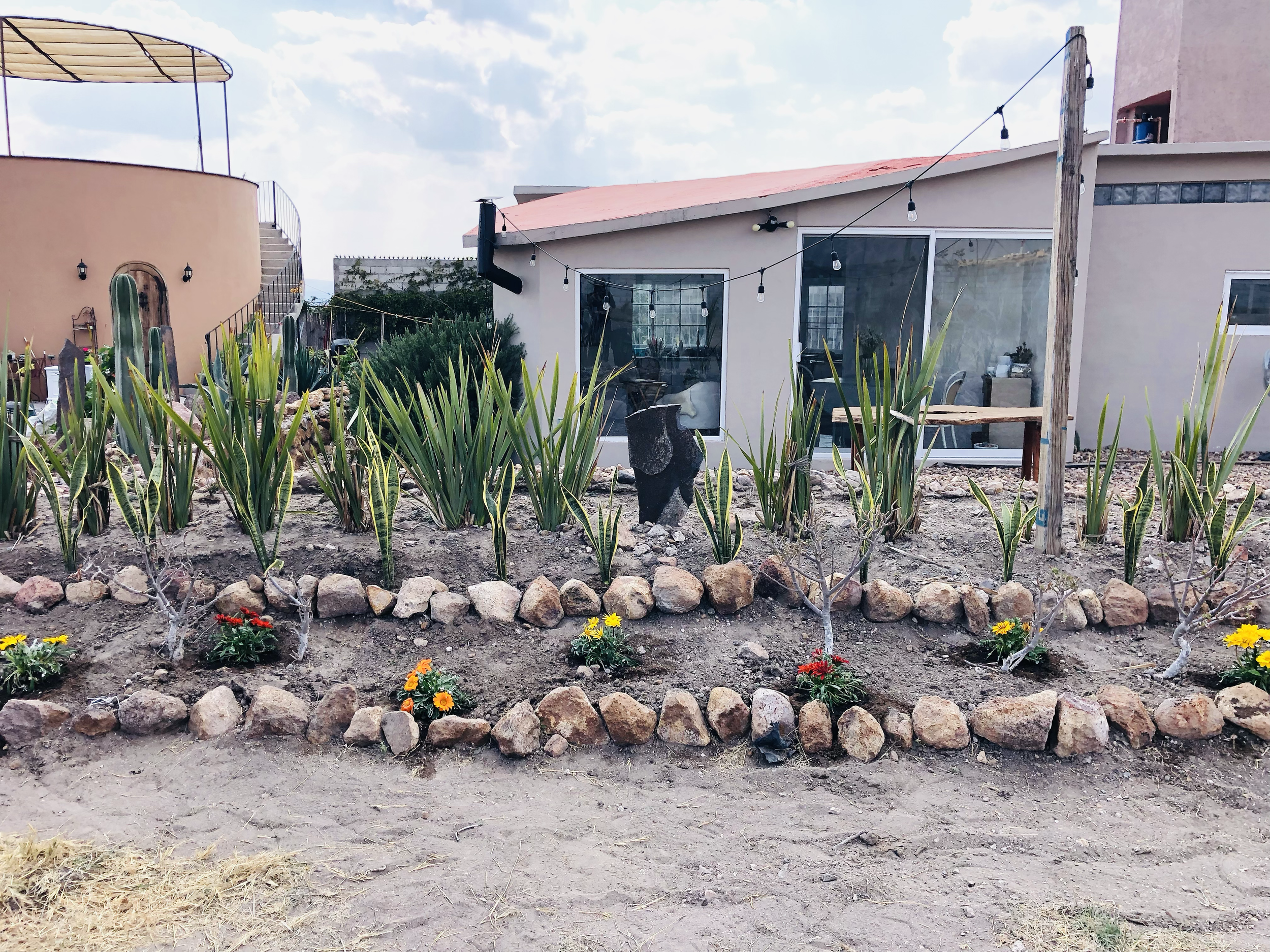 Planting scheme, Mexico