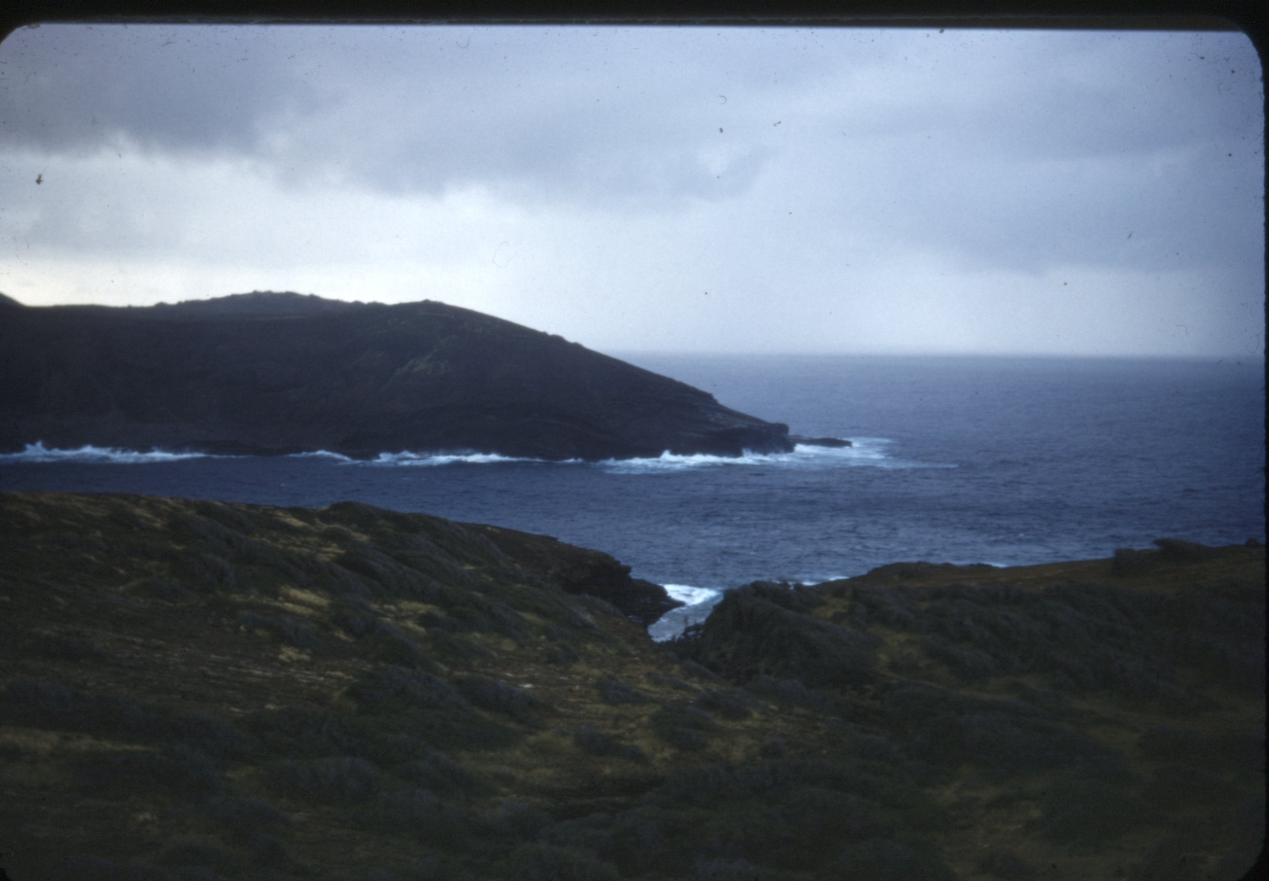 Ocean View, Peral Harbor