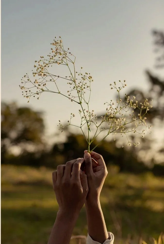 Rauhnächte 2025-2026