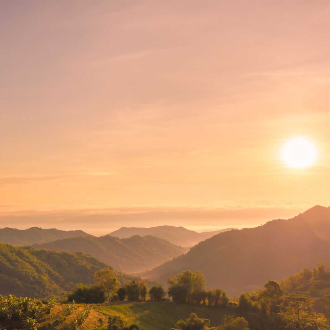 Mentoring für Frauen mit Lara Schäffer, ganzheitliche Begleitung durch Tantra, Breathwork und Embodiment