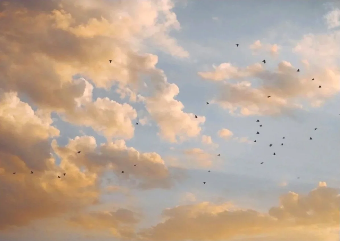 Coaching für verkörperte Lebendigkeit, innere Klarheit und bewusste Lebensführung