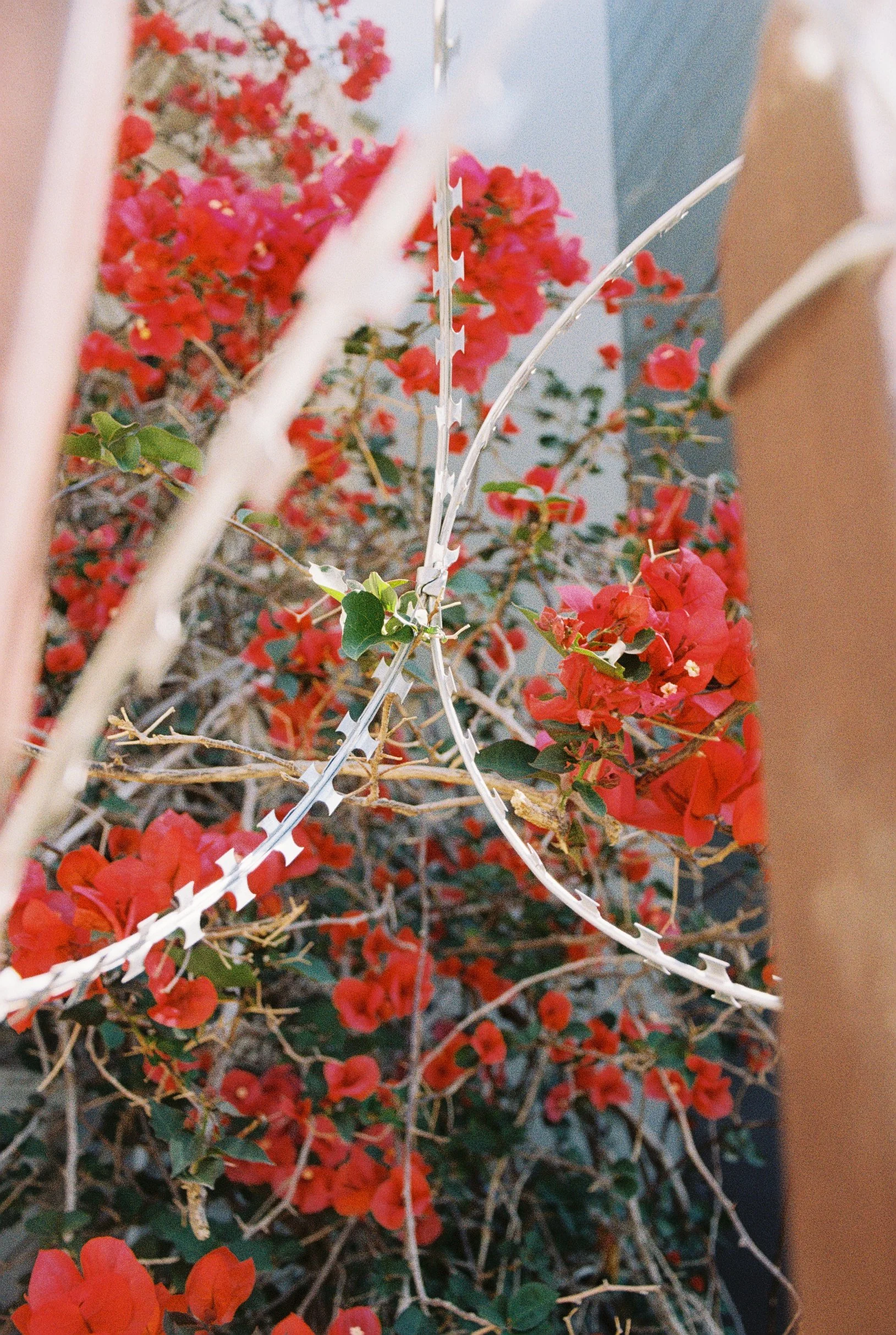 R1-02059-004A.JPG