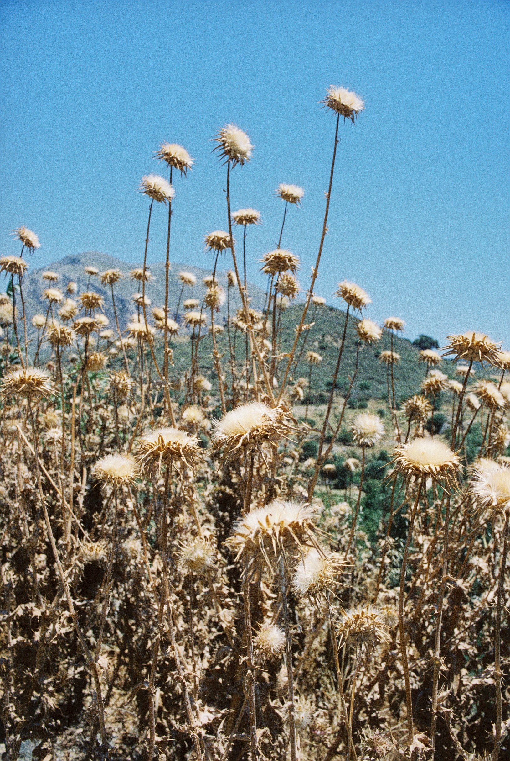 R1-02044-0000.JPG
