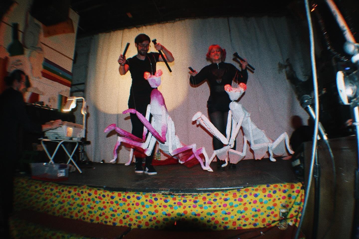 BUGS BUGS BUGS!!! 

Some shots from the first-ever performance of &lsquo;Christabel&rsquo; at Rubulad! This was such a blast and I&rsquo;m so excited to keep building and performing this piece! If you need spooky vampy buggy puppets for your Hallowee