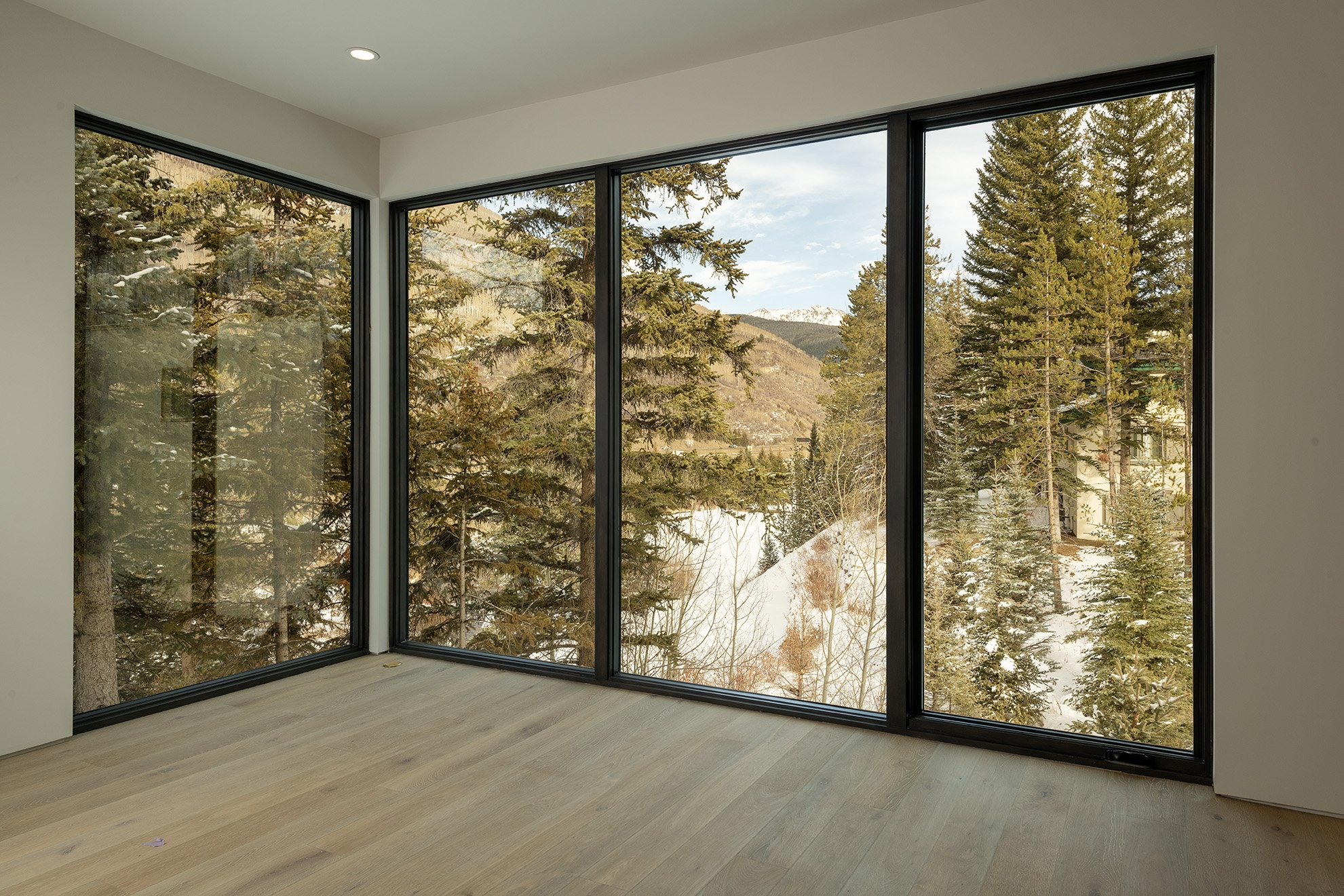 Empty room with large floor-to-ceiling windows showing a view of pine trees, snow, and mountains outside.
