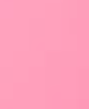 rose pale.png