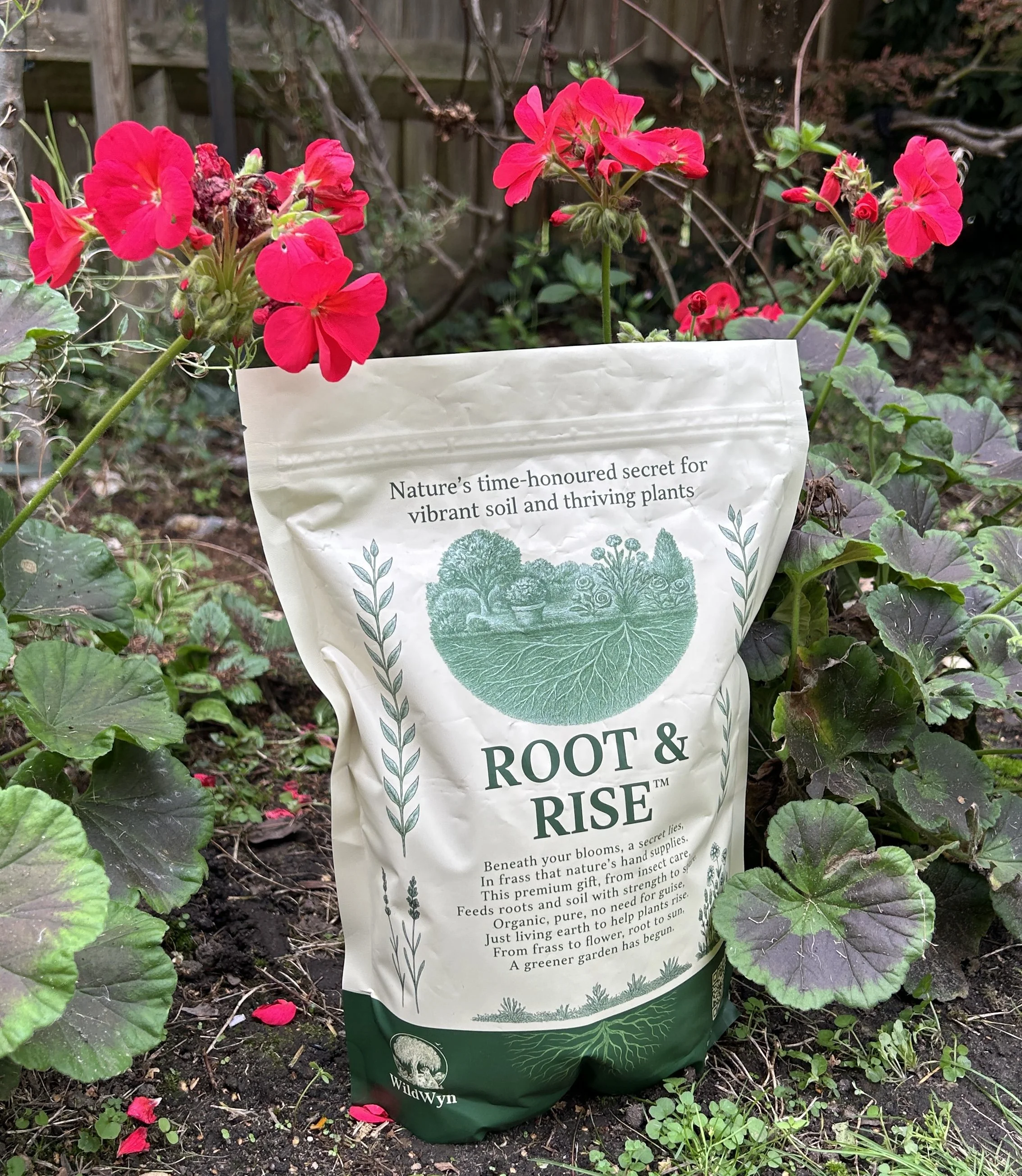 A bag of Root & Rise organic plant fertilizer amidst vibrant pink geranium flowers and green foliage in a garden.