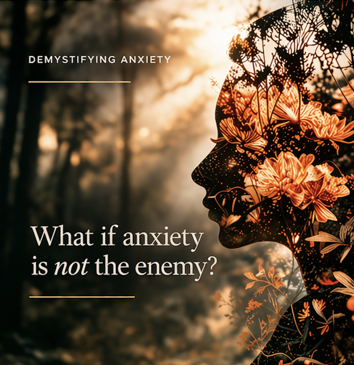 Demystifying Anxiety: What If Anxiety Is Not the Enemy? A new way to understand anxiety</span>