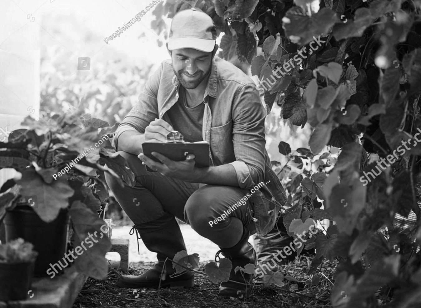 stock-photo-man-agriculture-and-plant-on-farm-with-clipboard-for-growth-quality-assurance-or-crop-production-2607313171.jpg