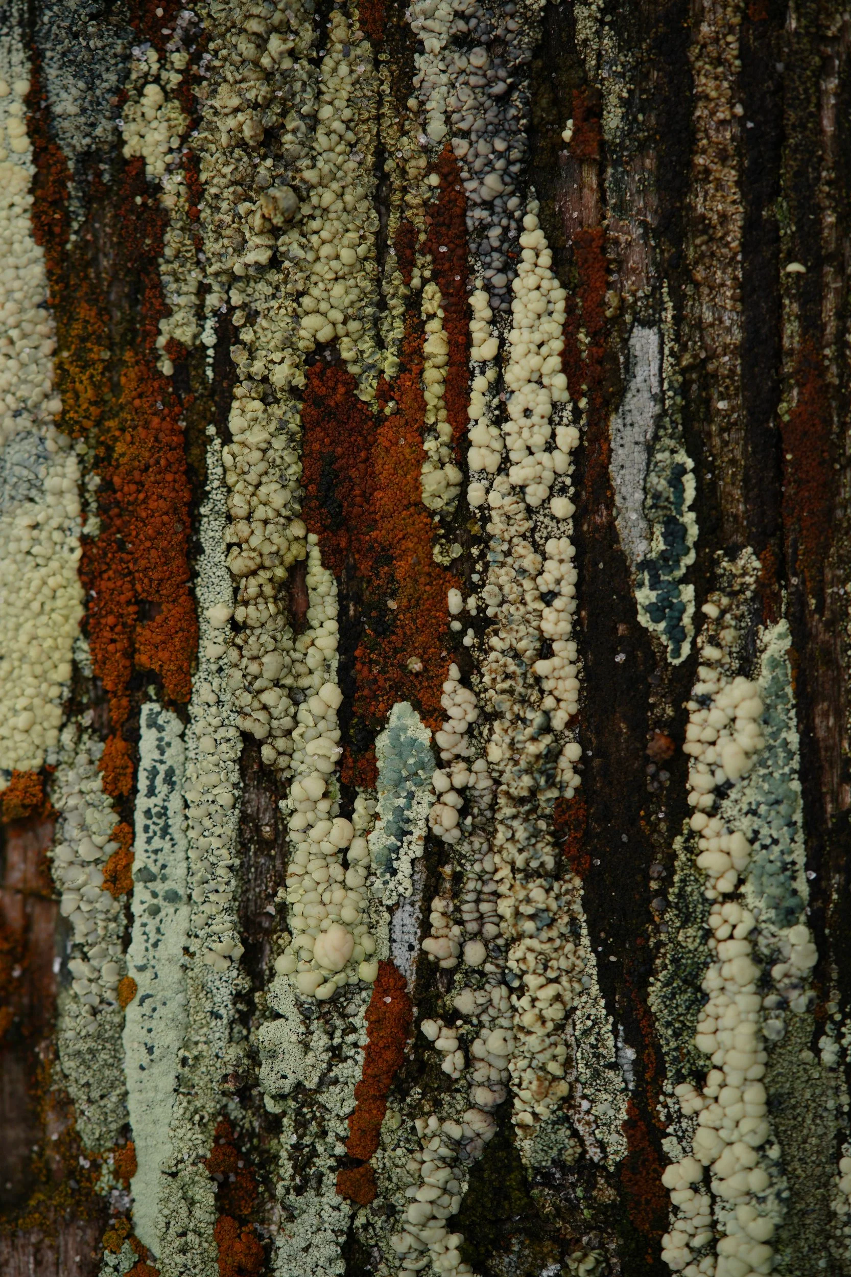 DSC05392.png