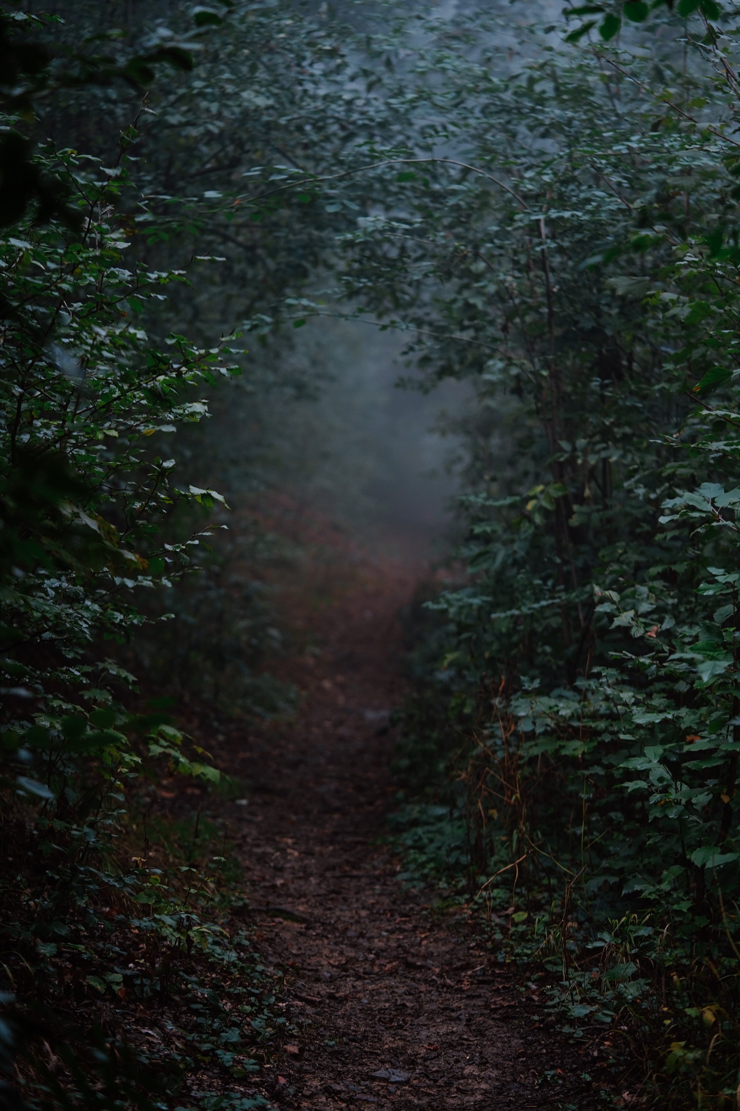 ORG__DSC4999.JPG
