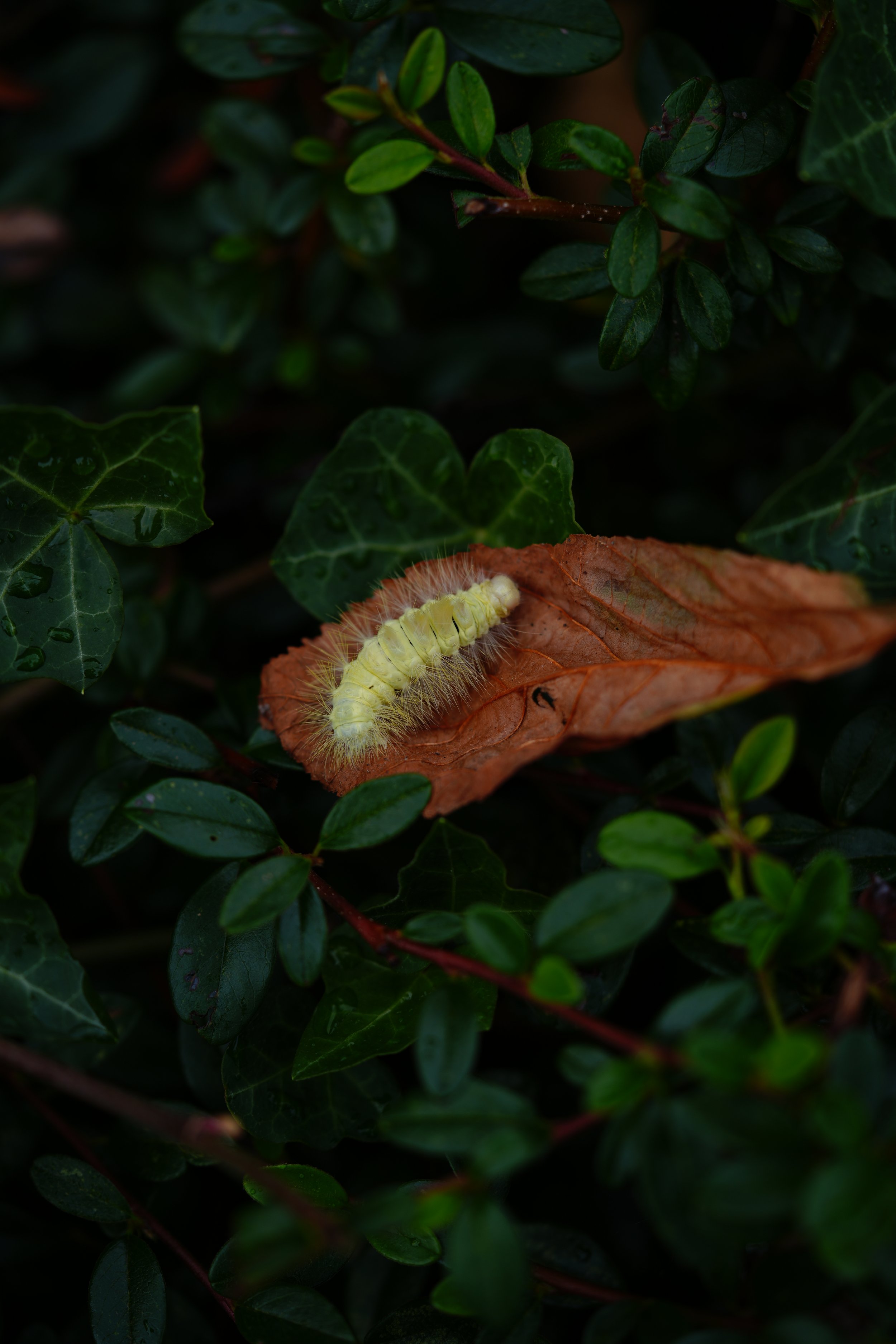 DSC05750.JPG