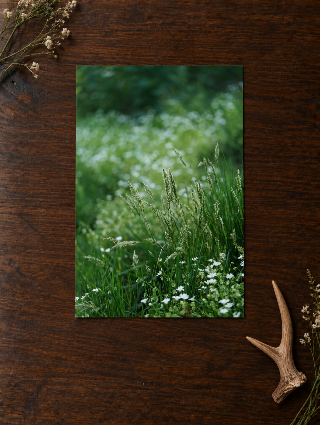 Meadow unframed.png