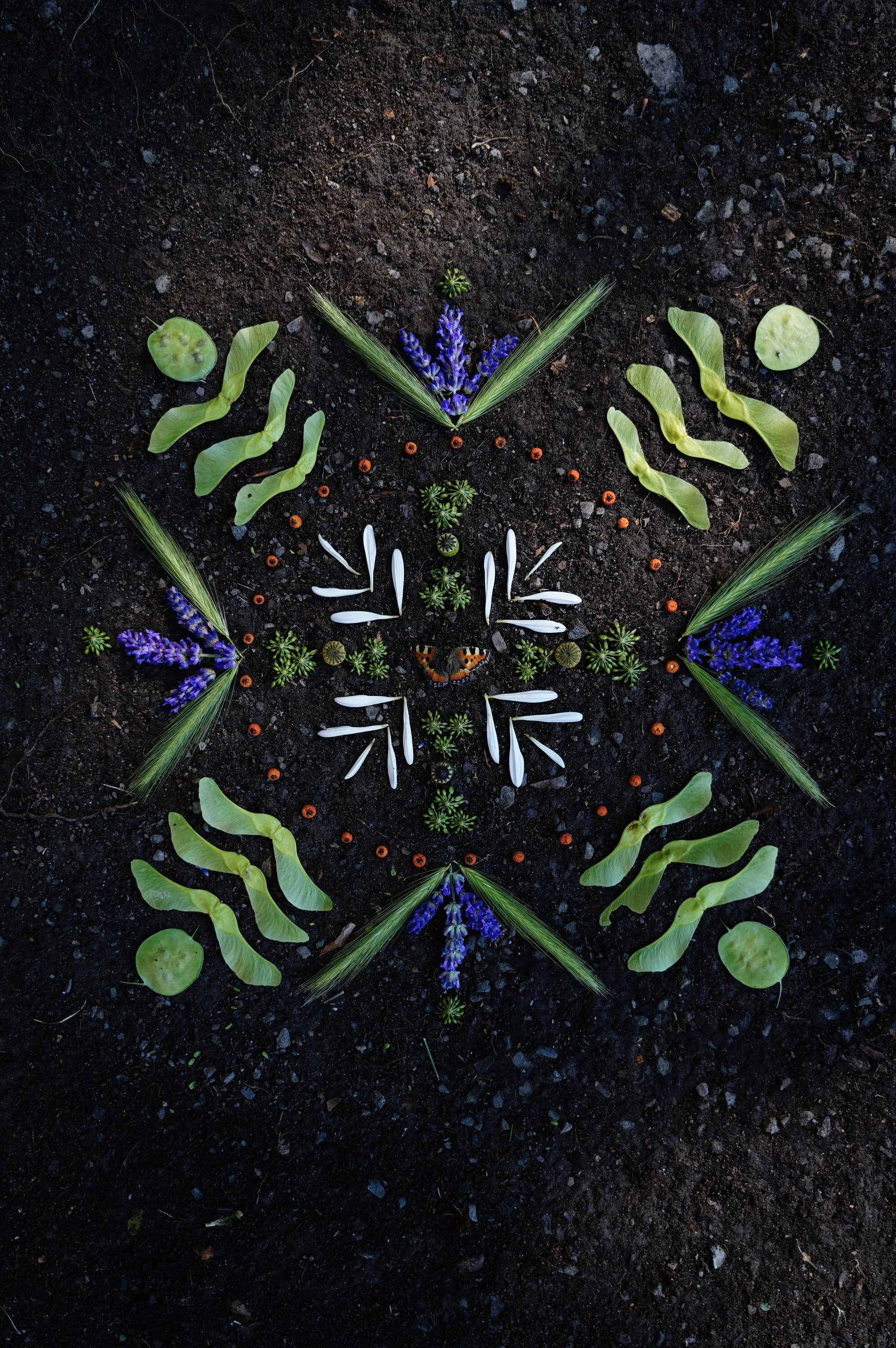Colorful ashoka leaf mandala on dark soil with flowers, leaves, and a butterfly at the center.
