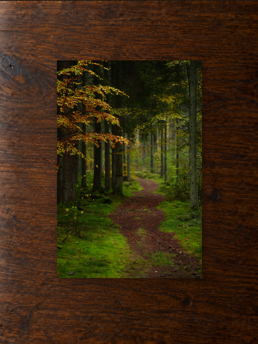 forest-path-mirrored-unframed-table.png