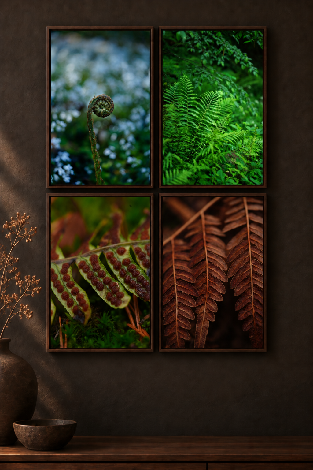 Fern · Set