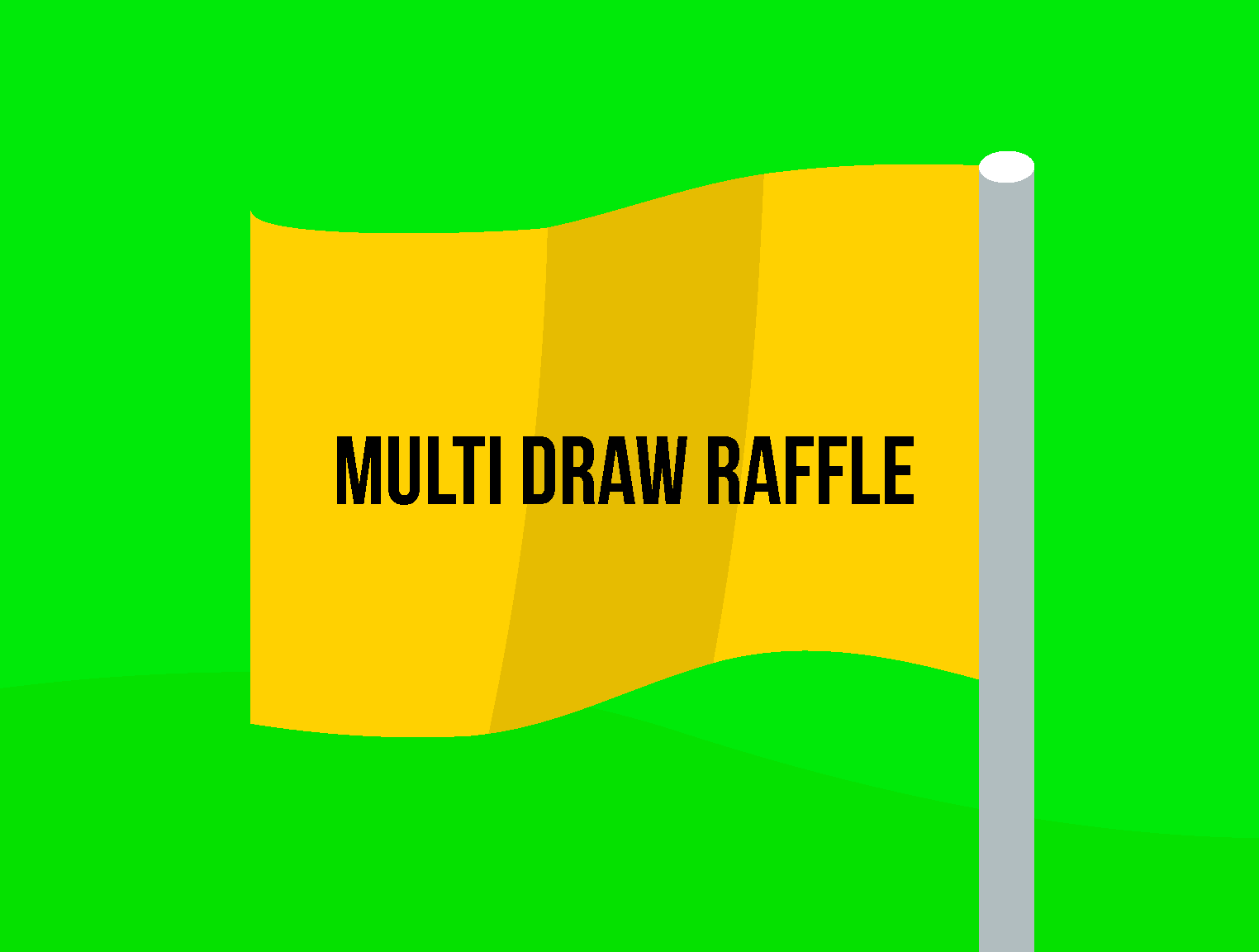 raffle flag small.png