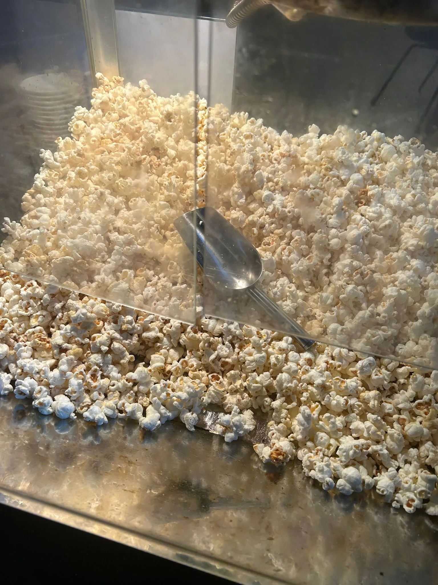 WhatsApp Image 2026-03-19 at 07.18.05.jpeg