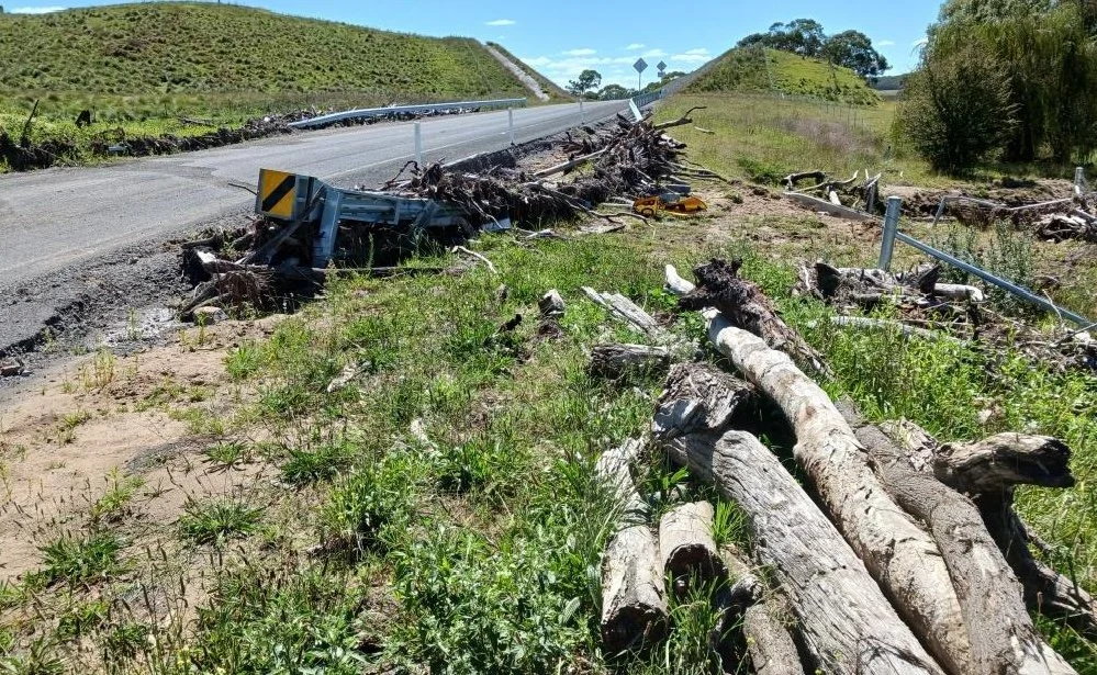 Debris and fallen trees on the side of a highway after a crash, with damaged guardrails and grass in the foreground.