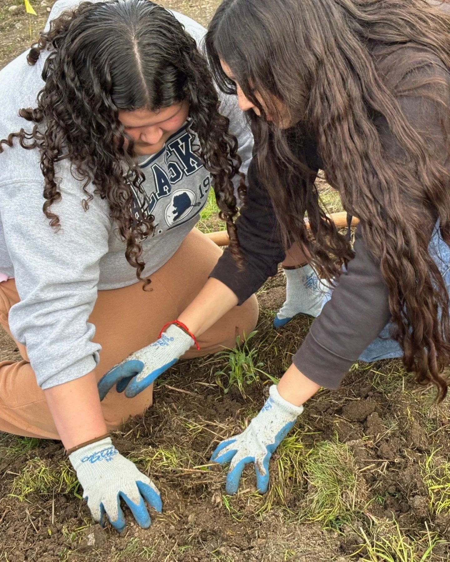 Through the Richmond Outdoors Coalition, DeJean students partnered with @growingtogether and @pointblue_org&rsquo;s STRAW program to plant native species and restore habitat at Napa-Sonoma Marshes.

🌿 Outdoor learning looks like this.
#richmondoutdo