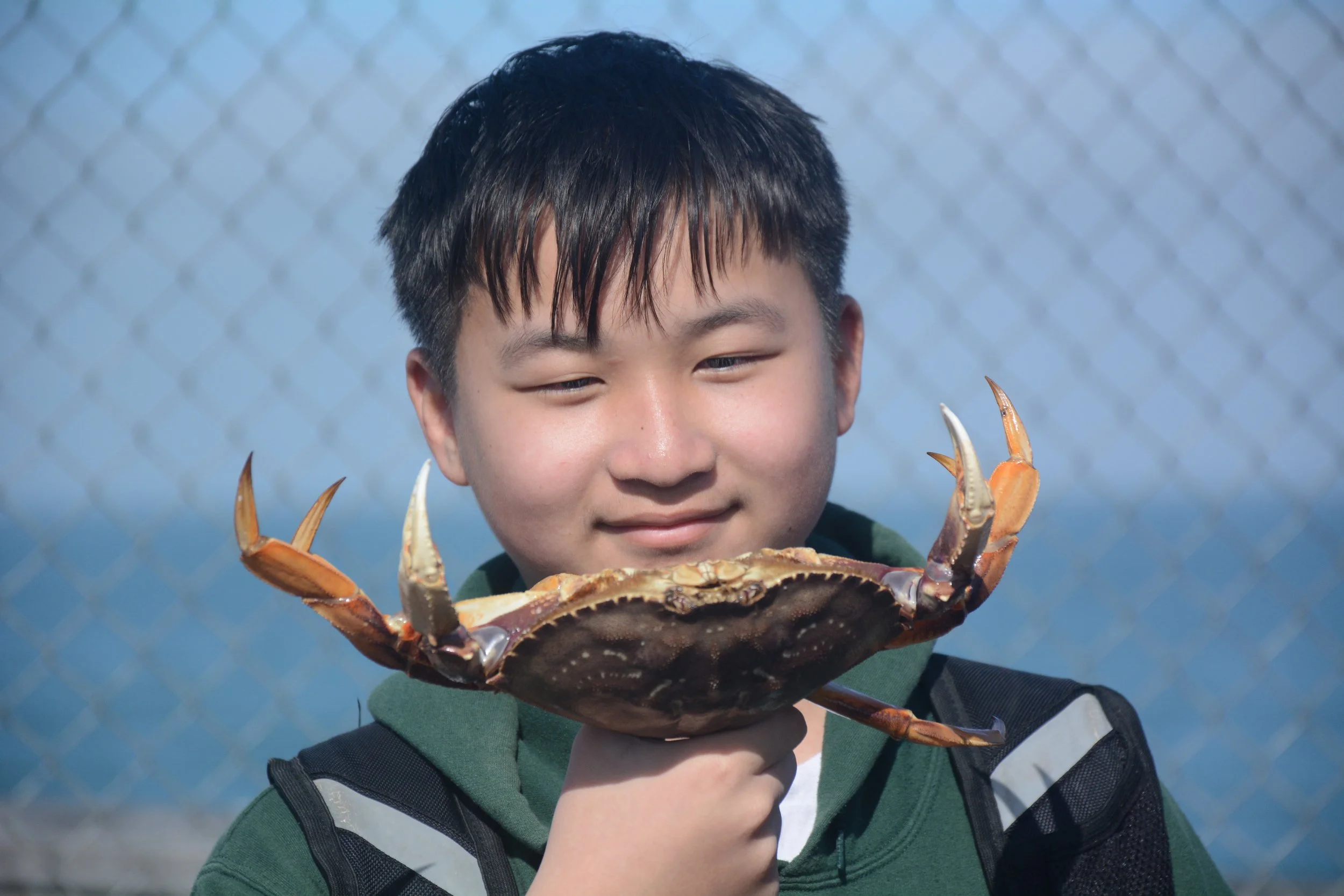 A young boy is holding a large crab with both hands during daytime, with a chain-link fence and blue sky in the background.