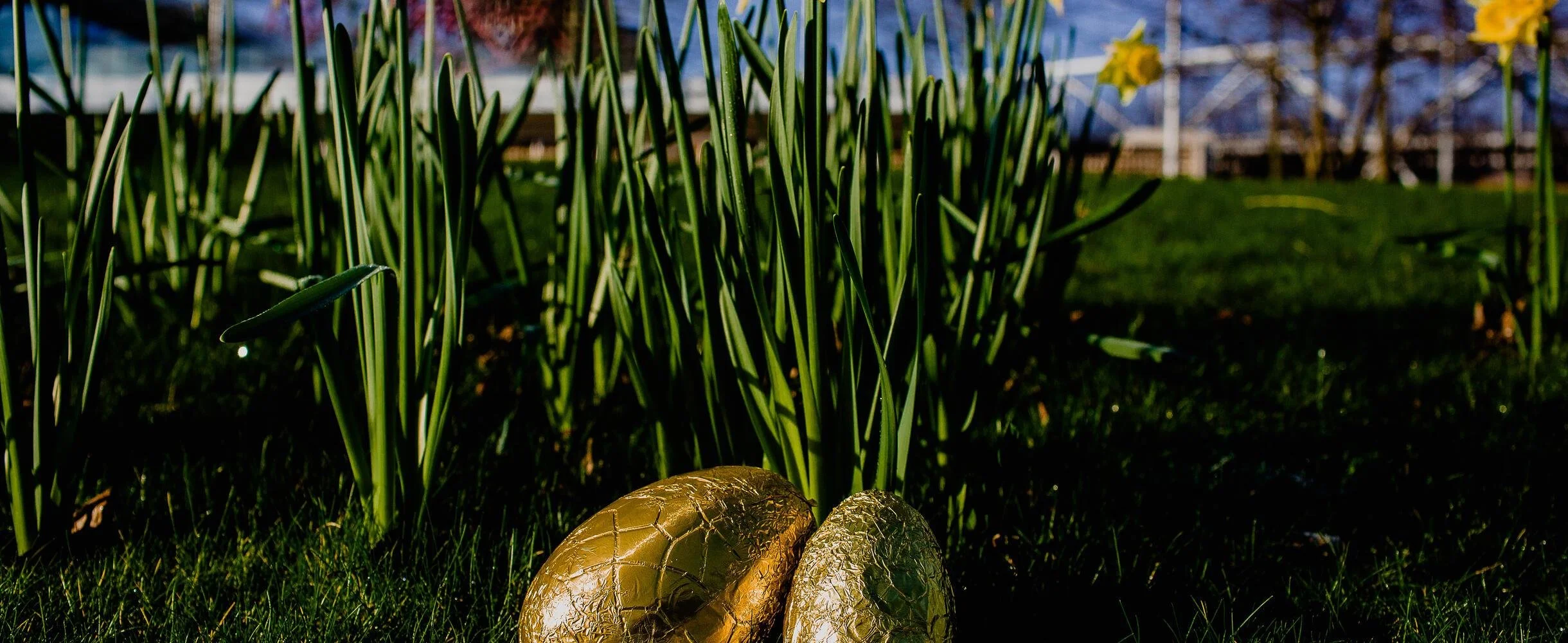 Why You Should Book Your Easter Stay Early?