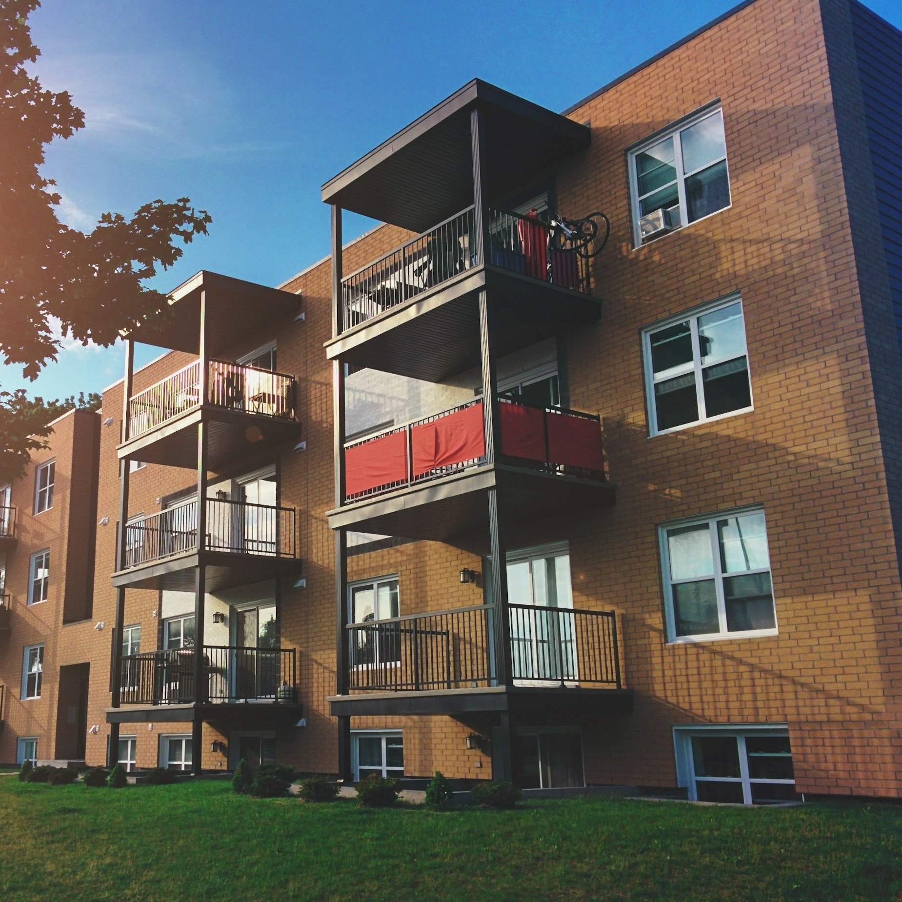A brick apartment building with three stories, featuring balconies with black railings, some with red fabric privacy screens. A bicycle is hanging on the top balcony. A green lawn with small bushes is in front of the building, and a tree's branches partially frame the left side of the image. The sky is clear and blue, with sunlight illuminating the scene.