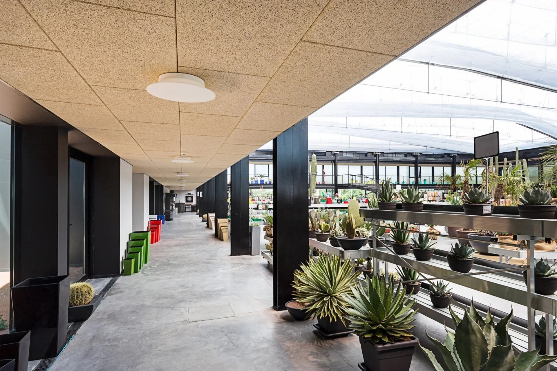 Markthalle mit Betonboden und Pflanzen, an der Decke grossflächige Holzwolle-Akustikplatte