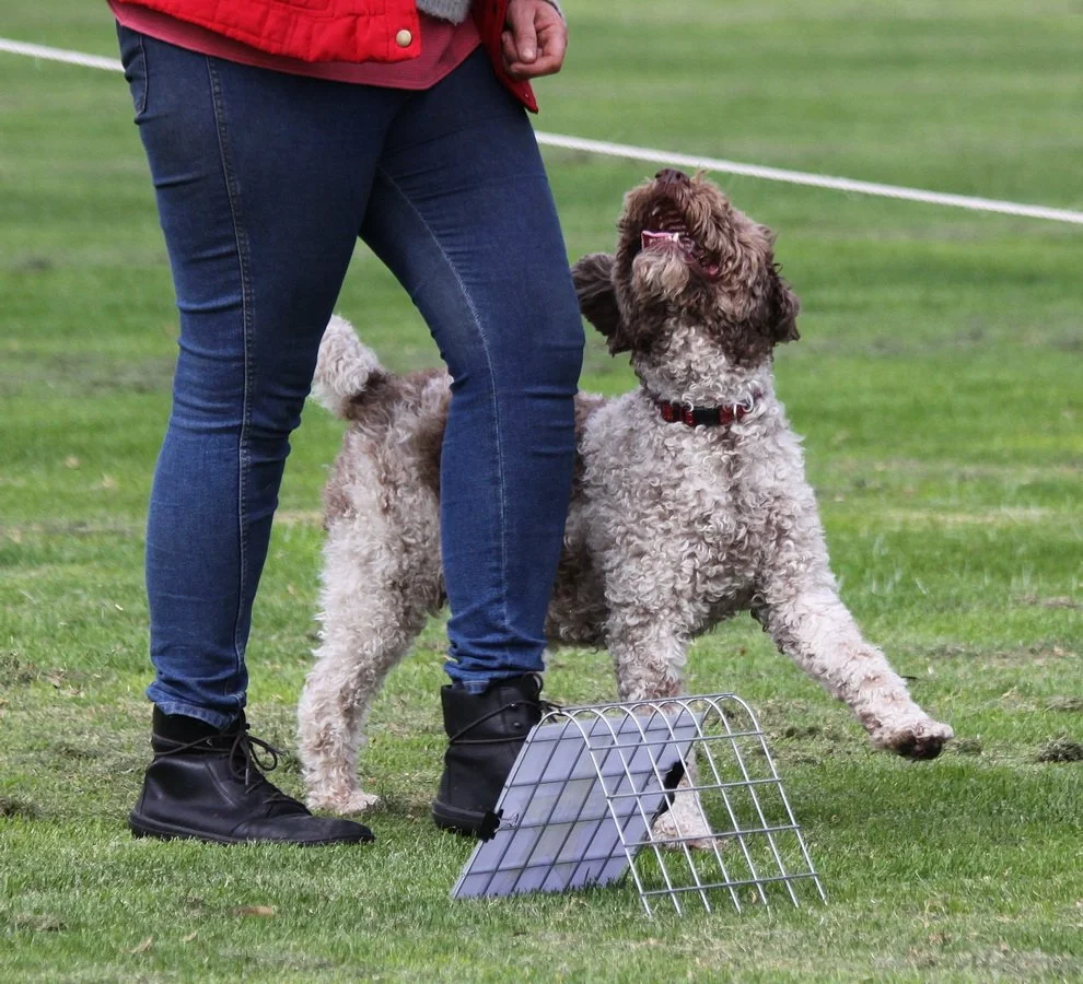 Rally &amp; Tricks Trial Class
