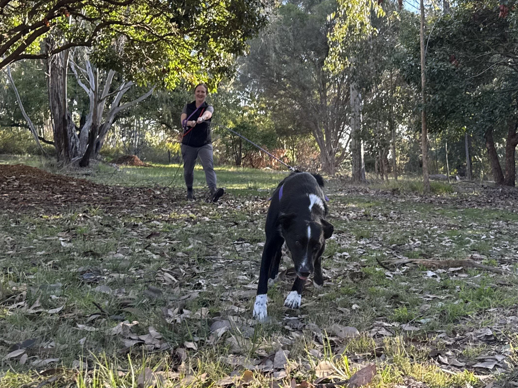 Track &amp; Search session - Mixed levels