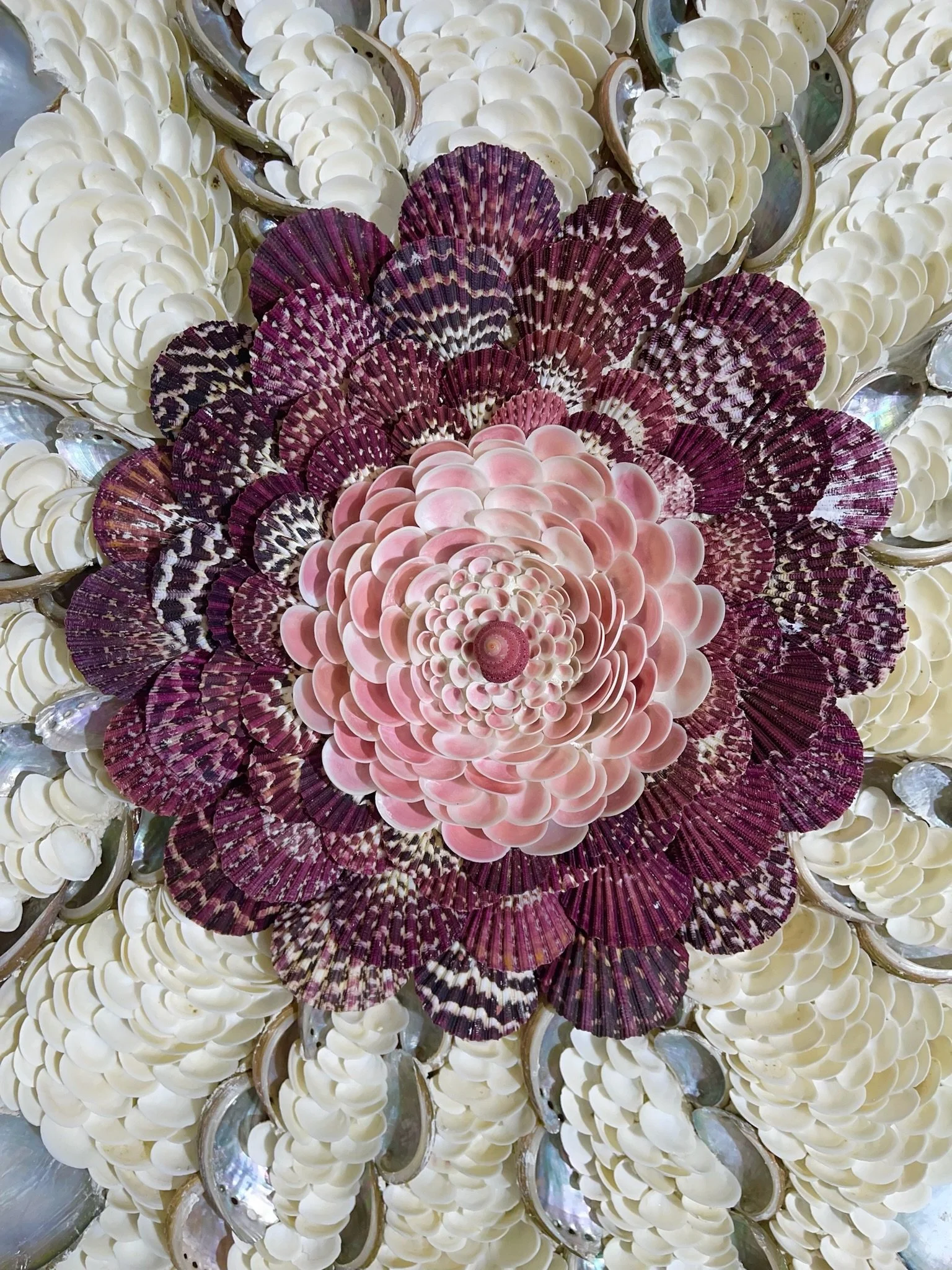 531E360D-C514-4C8C-96E5-1090FB1A5B6E 2.JPG