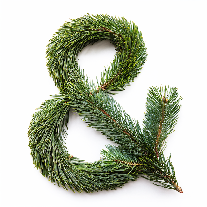 19/12/25 GLÆDELIG JUL OG GODT NYTÅR