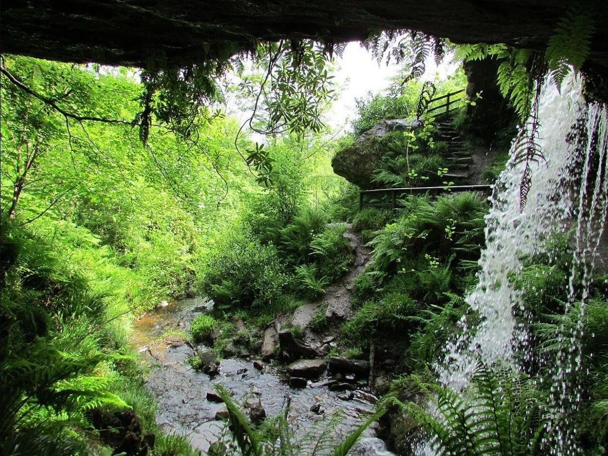 The Yad Waterfall at Maspie Den, Falkland. Photo by Bill Kasman, CC BY-SA 2.0.
