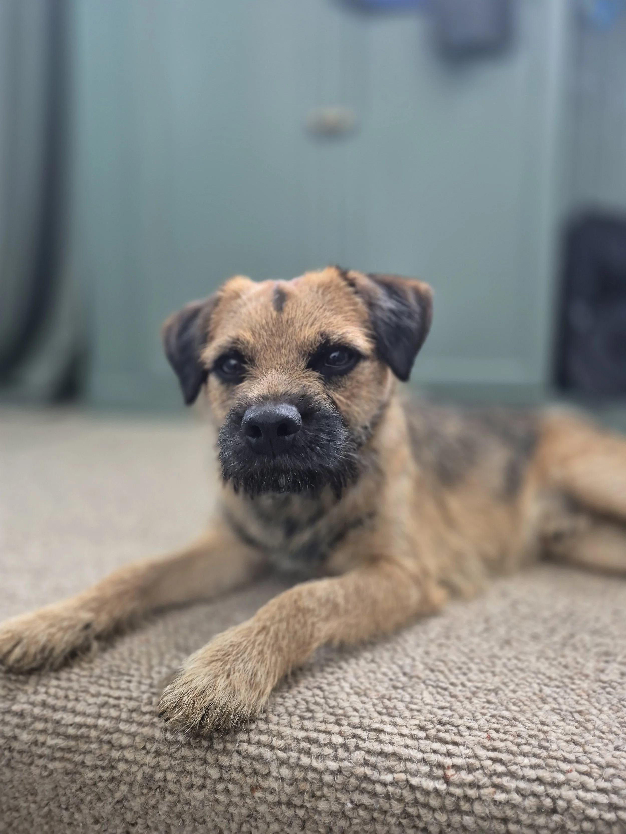 Friend of Simple Scottish Living
