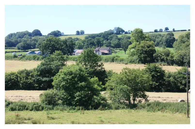 Do you rent out fields or buildings?