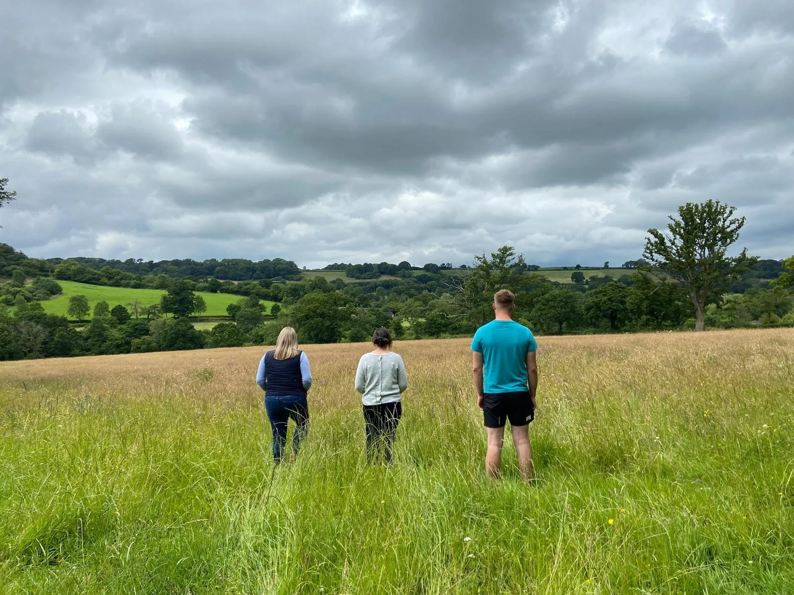 Sustainable Farming Incentive Update…