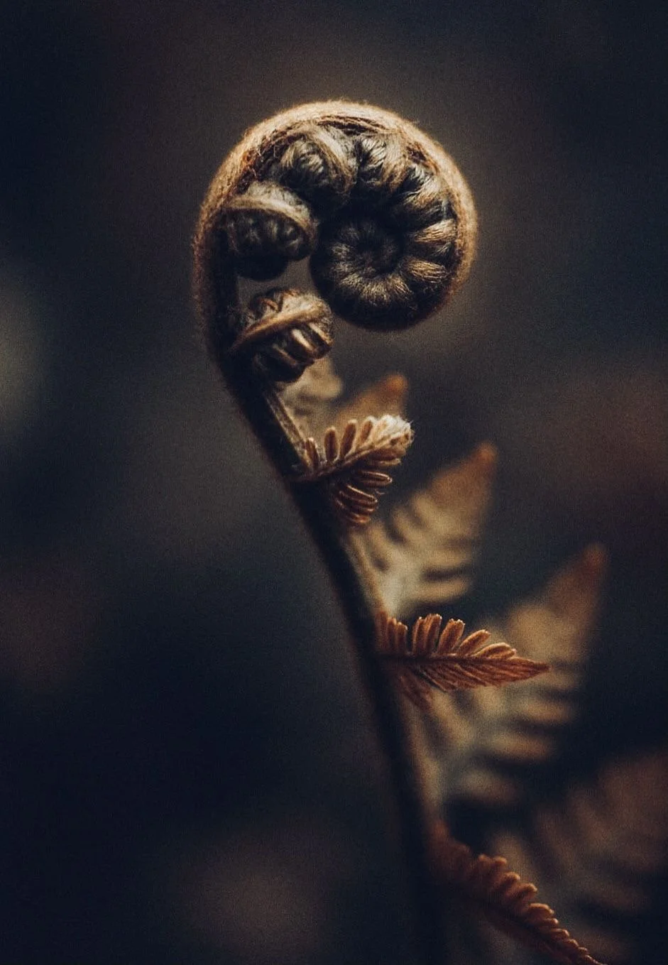 The Architecture Of Relief: Ending The Internal Trial