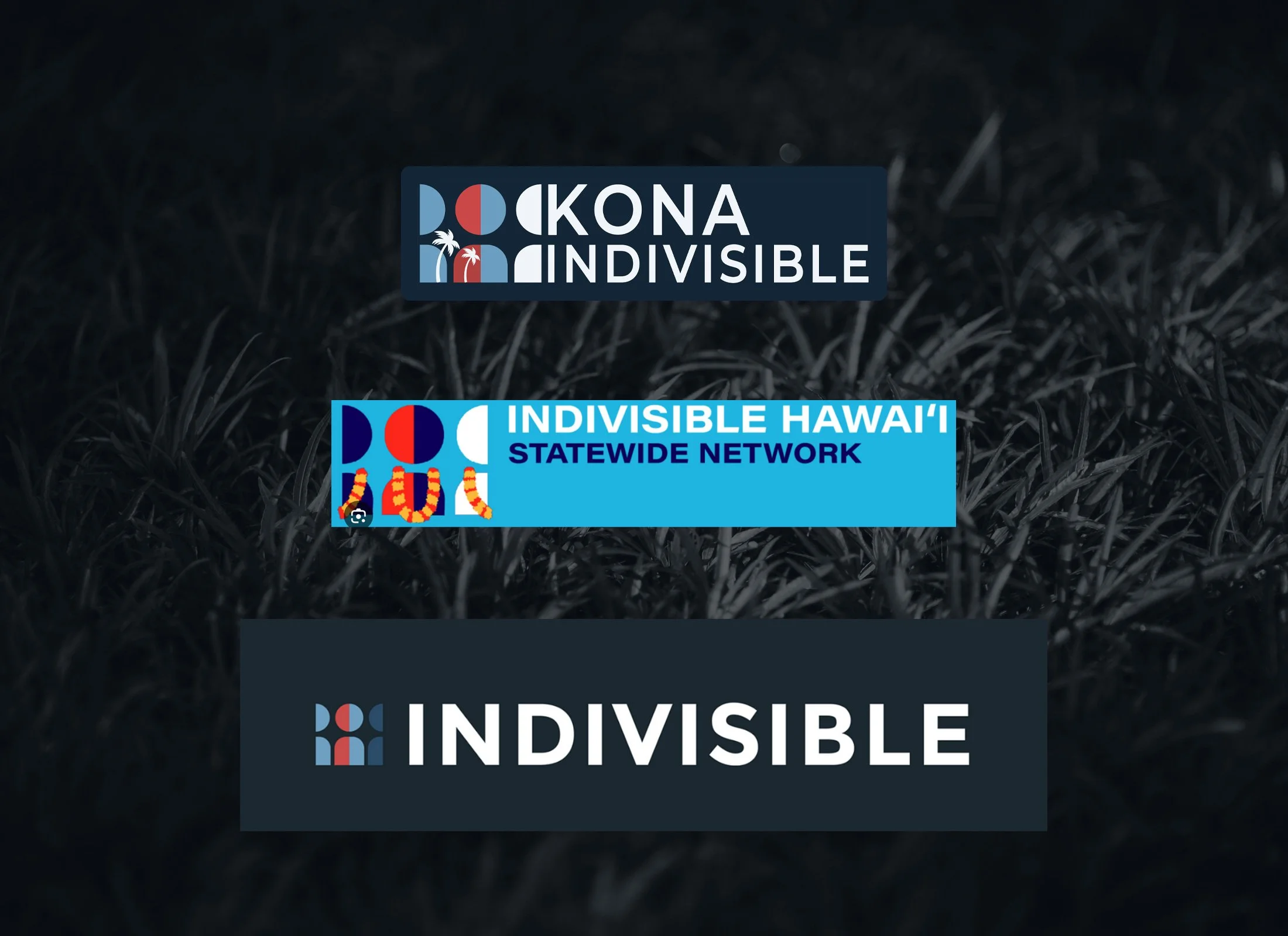 A graphic featuring the logos of Kona Indivisible, Indivisible Hawaiʻi, and Indivisible