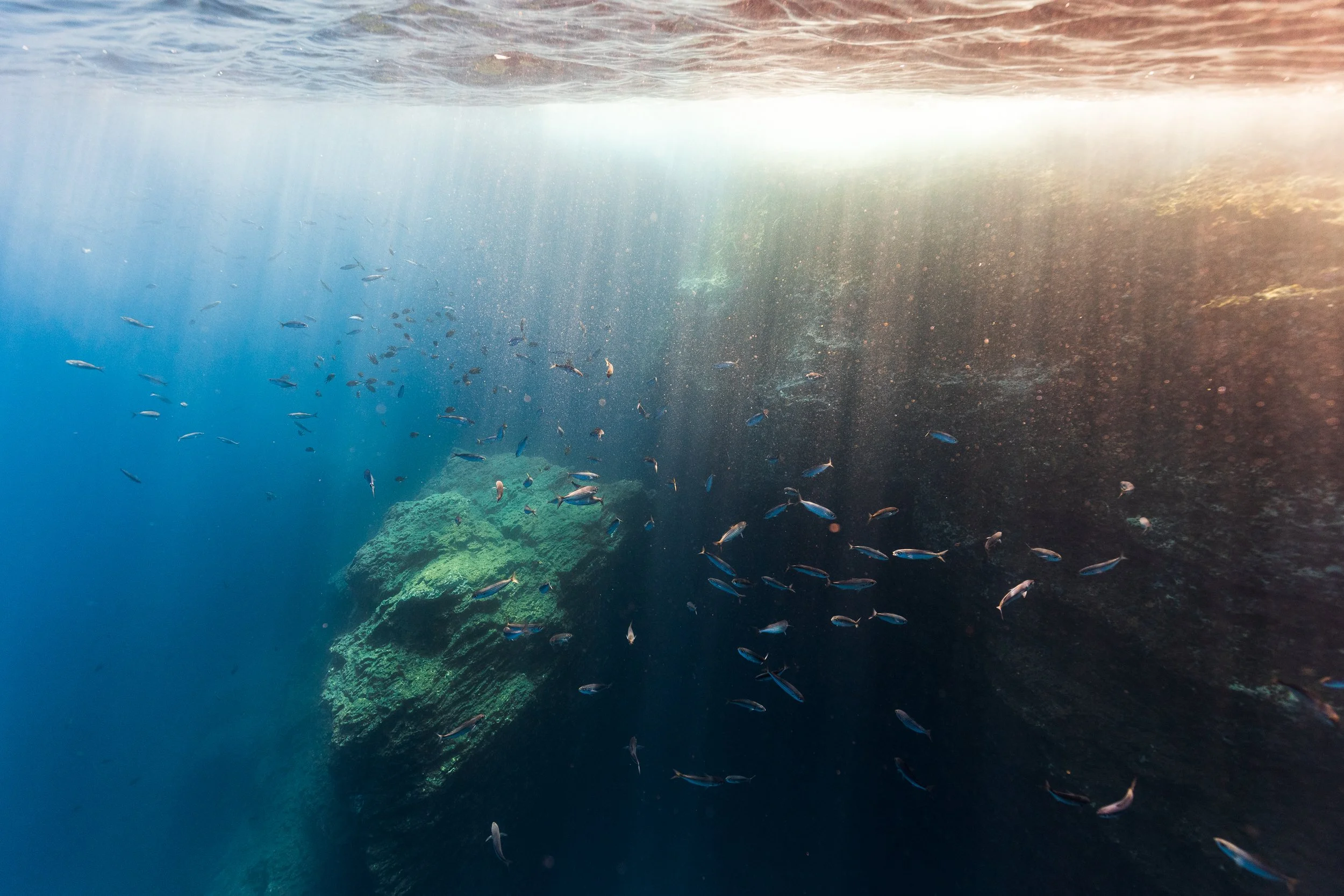 Underwater view of a coral reef with small fish swimming near the rocks, sunlight filtering through the water.