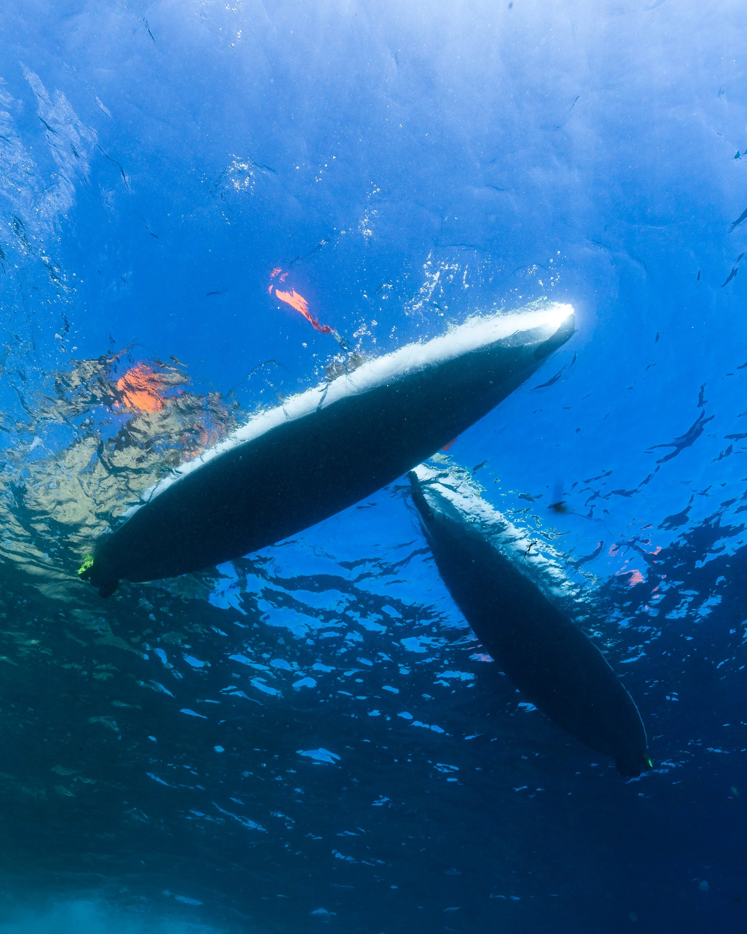 Underwater view showing the underwater hull of a boat with a propeller and blue ocean water filled with small fish.