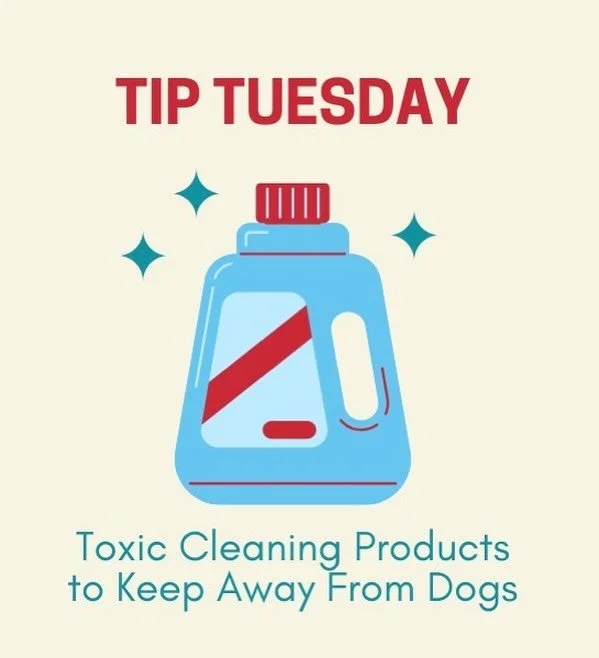 🐾 Tip Tuesday 🐾
Did you know some common household cleaning products can be harmful to your pup? 🧼🚫

Here are a few to keep out of paw&rsquo;s reach:
❌ Bleach
❌ Ammonia
❌ Phenols (found in some disinfectants)
❌ Hydrogen Peroxide (outside of vet i