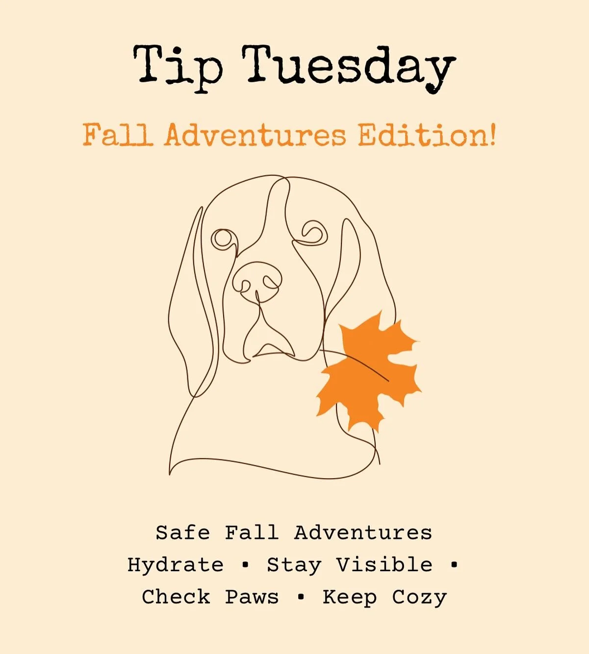 🍂🐾 Tip Tuesday: Autumn Adventures Edition! 🐾🍂

Fall is the paw-fect time to get outside with your pup! Whether you&rsquo;re strolling through crunchy leaves or heading out on a trail, here are a few ways to keep adventures safe and fun:

🌲 Bring