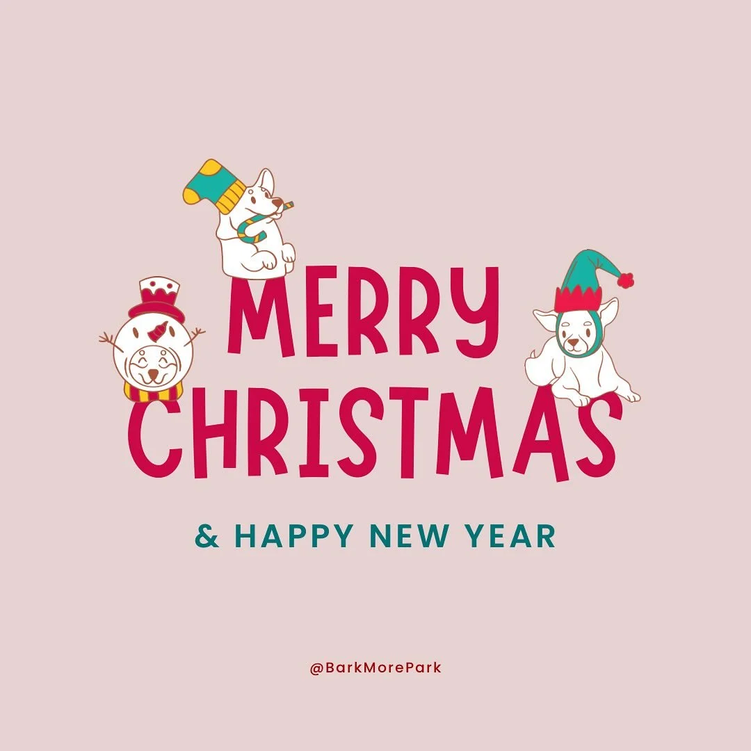 Merry Christmas from all of us at BarkMore Park! 🎄🐶 Wishing you and your pups a day full of love, treats, and tail wags. Thank you for being part of our BarkMore family ❤️