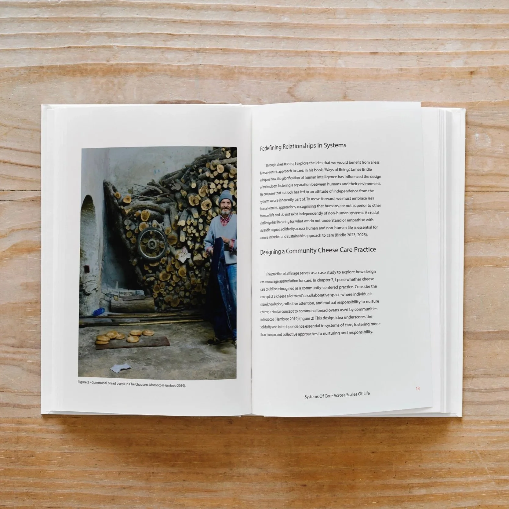 Research Report: Systems of Care Across Scales of Life